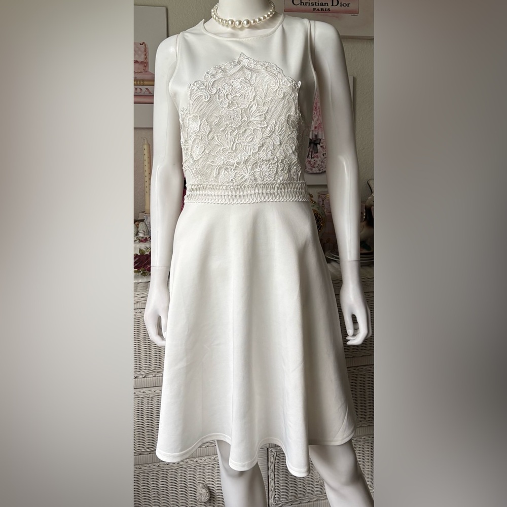 Francescas Mini Dress Style 003-211180 Embroidered Fitted Bodice White Size L